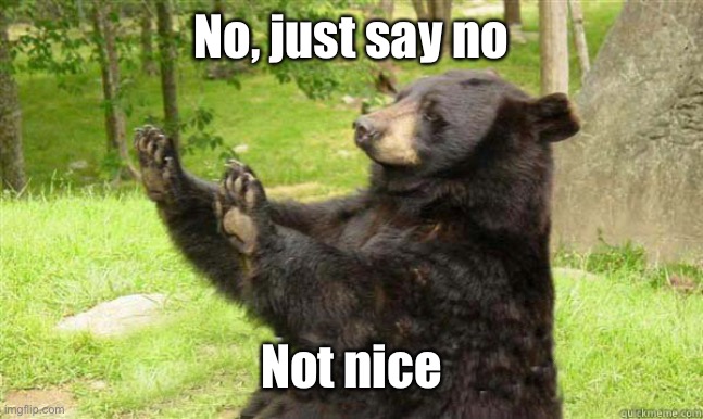 How about no bear | No, just say no Not nice | image tagged in how about no bear | made w/ Imgflip meme maker
