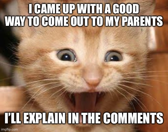 hoorays for me | I CAME UP WITH A GOOD WAY TO COME OUT TO MY PARENTS; I’LL EXPLAIN IN THE COMMENTS | image tagged in memes,excited cat,coming out | made w/ Imgflip meme maker
