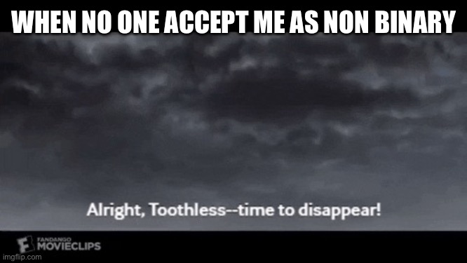 don’t worry most people I know probably will | WHEN NO ONE ACCEPT ME AS NON BINARY | image tagged in httyd time to disappear,non binary | made w/ Imgflip meme maker