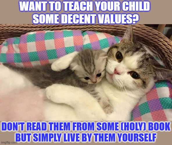 This #lolcat wonders if you want your child to know or to live by your values | WANT TO TEACH YOUR CHILD 
SOME DECENT VALUES? DON'T READ THEM FROM SOME (HOLY) BOOK
BUT SIMPLY LIVE BY THEM YOURSELF | image tagged in lolcat,childhood,parenting,think about it,values | made w/ Imgflip meme maker
