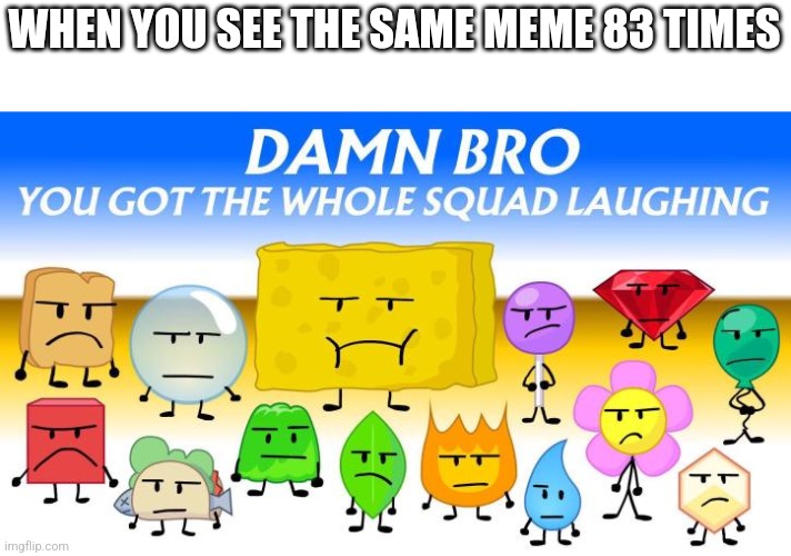 It gets old every time. Except Villager News and the Mayonnaise on an escalator meme | WHEN YOU SEE THE SAME MEME 83 TIMES | image tagged in final fourteen looking different,bfb,memes,not funny | made w/ Imgflip meme maker