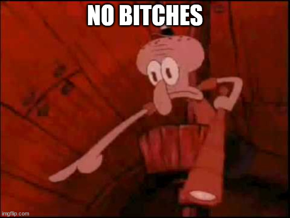 Squidward pointing | NO BITCHES | image tagged in squidward pointing | made w/ Imgflip meme maker