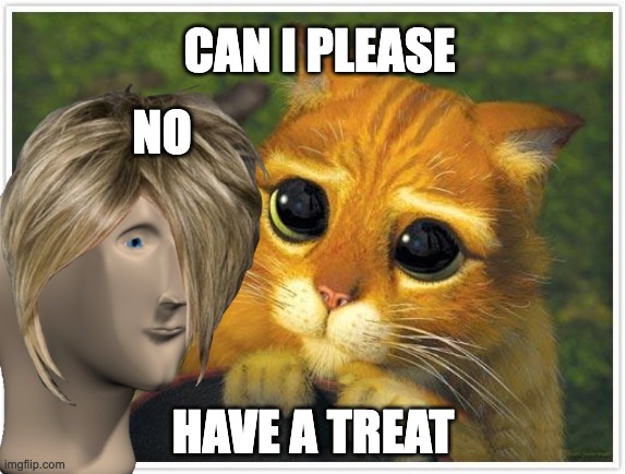 Shrek Cat Meme | CAN I PLEASE; NO; HAVE A TREAT | image tagged in memes,shrek cat | made w/ Imgflip meme maker