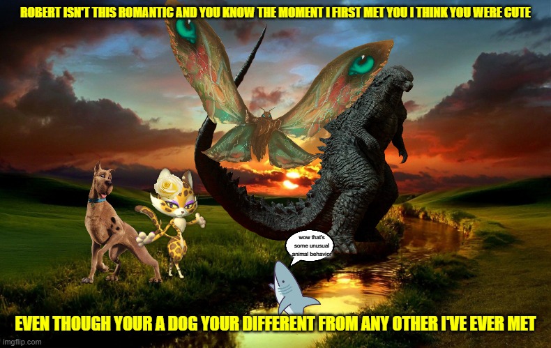 scooby's double date sunset | ROBERT ISN'T THIS ROMANTIC AND YOU KNOW THE MOMENT I FIRST MET YOU I THINK YOU WERE CUTE; wow that's some unusual animal behavior; EVEN THOUGH YOUR A DOG YOUR DIFFERENT FROM ANY OTHER I'VE EVER MET | image tagged in beautiful creek and sunset,dogs,cats,romance,memes | made w/ Imgflip meme maker
