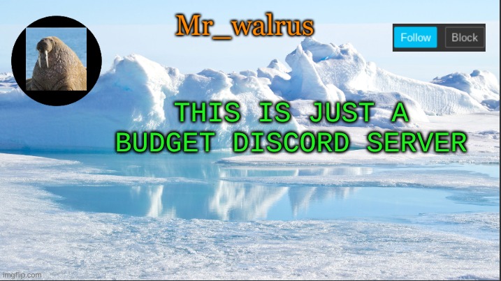 Mr_walrus | THIS IS JUST A BUDGET DISCORD SERVER | image tagged in mr_walrus | made w/ Imgflip meme maker