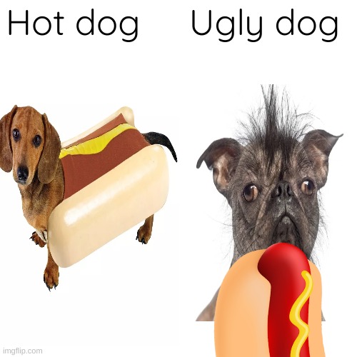 Hot dog Ugly dog | Hot dog     Ugly dog | image tagged in memes,hot dog | made w/ Imgflip meme maker