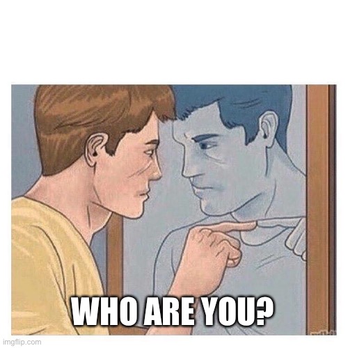 Who are you? Depersonalization | WHO ARE YOU? | image tagged in mirror talk guy reflection,depersonalization,dissociation,dissociative identity disorder,osdd,dissociative | made w/ Imgflip meme maker