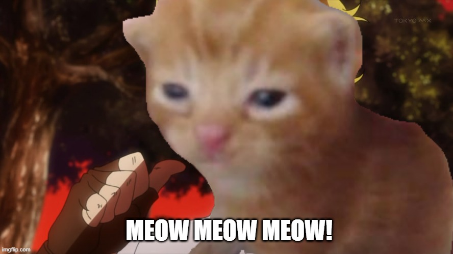 Cat's Meowing Adventure | MEOW MEOW MEOW! | image tagged in jojo's bizarre adventure,cats | made w/ Imgflip meme maker