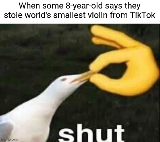 *sigh* | When some 8-year-old says they stole world's smallest violin from TikTok | image tagged in shut,tiktok sucks | made w/ Imgflip meme maker