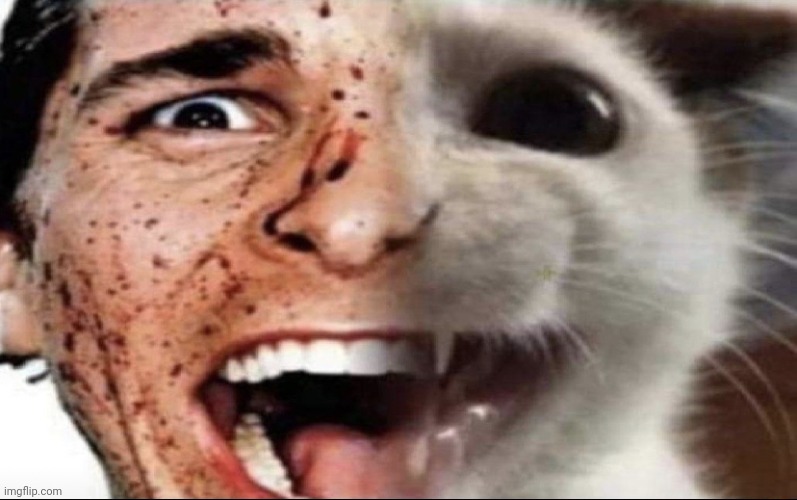 American Psycho Cat | image tagged in american psycho cat | made w/ Imgflip meme maker
