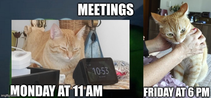 Meetings | MEETINGS; FRIDAY AT 6 PM; MONDAY AT 11 AM | image tagged in meeting | made w/ Imgflip meme maker