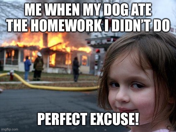 Disaster Girl | ME WHEN MY DOG ATE THE HOMEWORK I DIDN’T DO; PERFECT EXCUSE! | image tagged in memes,disaster girl | made w/ Imgflip meme maker