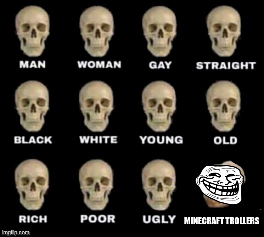 MiNeCRaFt | MINECRAFT TROLLERS | image tagged in idiot skull | made w/ Imgflip meme maker
