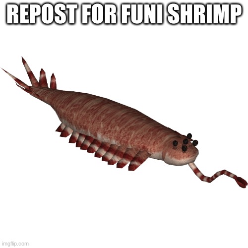 Opabinia | REPOST FOR FUNI SHRIMP | image tagged in opabinia | made w/ Imgflip meme maker