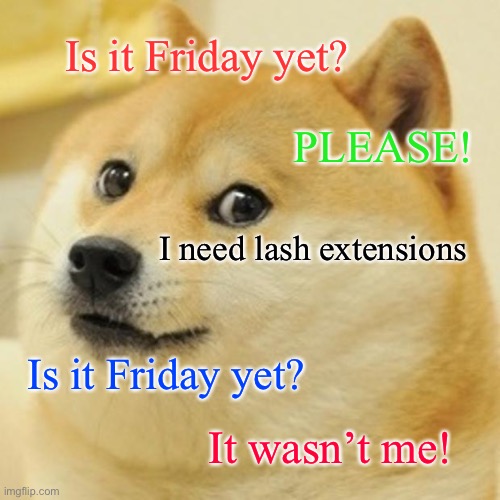 Doge | Is it Friday yet? PLEASE! I need lash extensions; Is it Friday yet? It wasn’t me! | image tagged in memes,doge | made w/ Imgflip meme maker