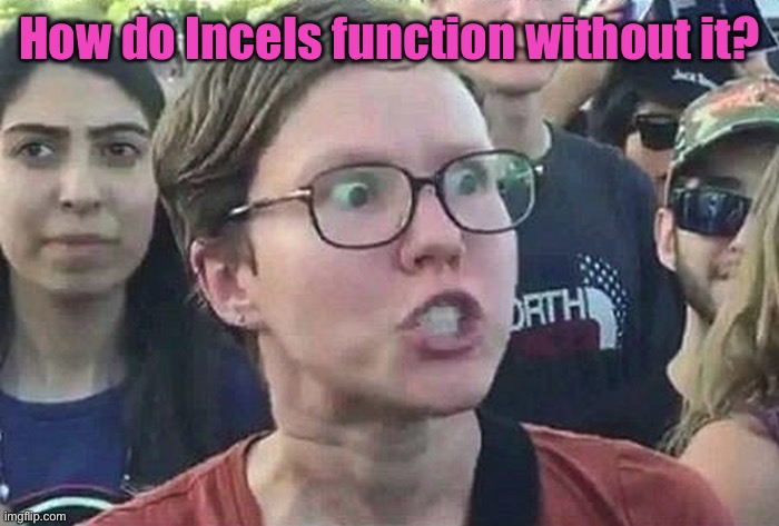 Triggered Liberal | How do Incels function without it? | image tagged in triggered liberal | made w/ Imgflip meme maker