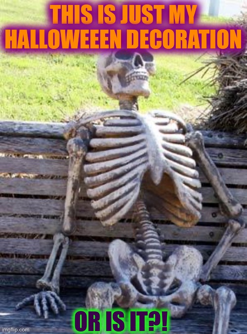 Is this a Halloween Decoration | THIS IS JUST MY HALLOWEEEN DECORATION; OR IS IT?! | image tagged in memes,waiting skeleton,scary,spooky scary skeleton,watch out,danger | made w/ Imgflip meme maker
