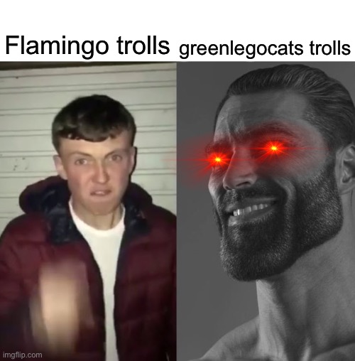 Average Fan vs Average Enjoyer | greenlegocats trolls; Flamingo trolls | image tagged in average fan vs average enjoyer | made w/ Imgflip meme maker