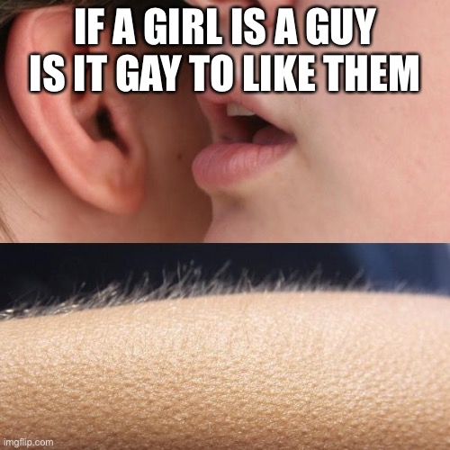 Whisper and Goosebumps | IF A GIRL IS A GUY IS IT GAY TO LIKE THEM | image tagged in whisper and goosebumps | made w/ Imgflip meme maker