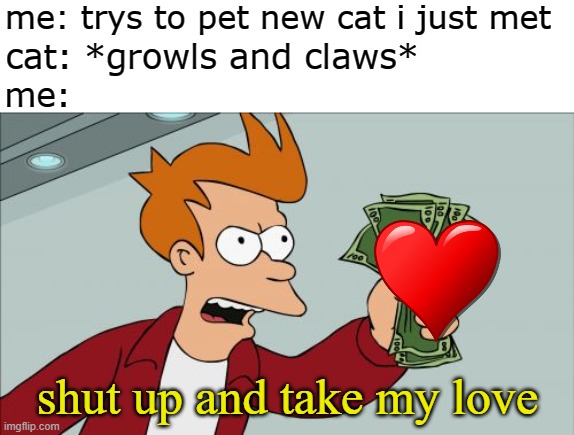 Shut Up And Take My Money Fry Meme | me: trys to pet new cat i just met; cat: *growls and claws*; me:; shut up and take my love | image tagged in memes,shut up and take my money fry | made w/ Imgflip meme maker