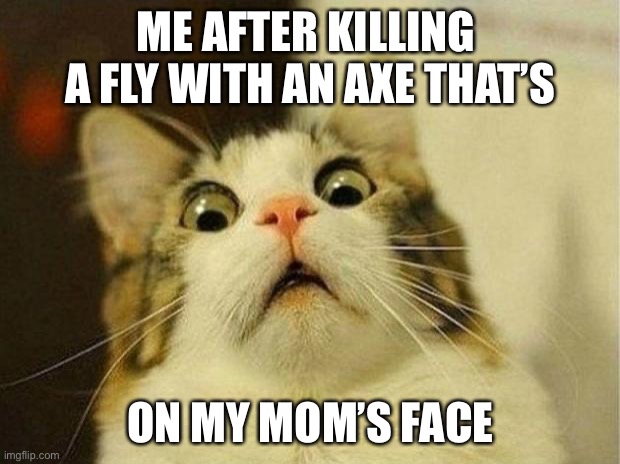 Oh no | ME AFTER KILLING 
A FLY WITH AN AXE THAT’S; ON MY MOM’S FACE | image tagged in memes,scared cat | made w/ Imgflip meme maker