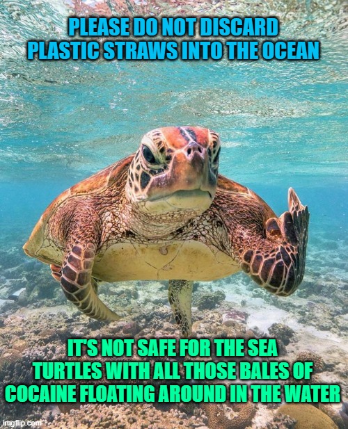 No Straws! | PLEASE DO NOT DISCARD PLASTIC STRAWS INTO THE OCEAN; IT'S NOT SAFE FOR THE SEA TURTLES WITH ALL THOSE BALES OF COCAINE FLOATING AROUND IN THE WATER | image tagged in grumpy sea turtle,cocaine,middle finger | made w/ Imgflip meme maker