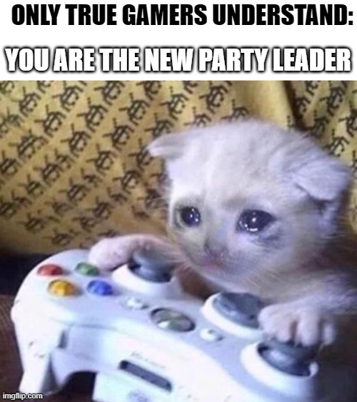 Sad Gamer Cat | ONLY TRUE GAMERS UNDERSTAND:; YOU ARE THE NEW PARTY LEADER | image tagged in sad gamer cat | made w/ Imgflip meme maker