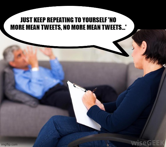 Psychologist | JUST KEEP REPEATING TO YOURSELF 'NO MORE MEAN TWEETS, NO MORE MEAN TWEETS...' | image tagged in psychologist | made w/ Imgflip meme maker
