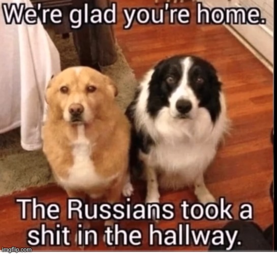 image tagged in funny memes | made w/ Imgflip meme maker