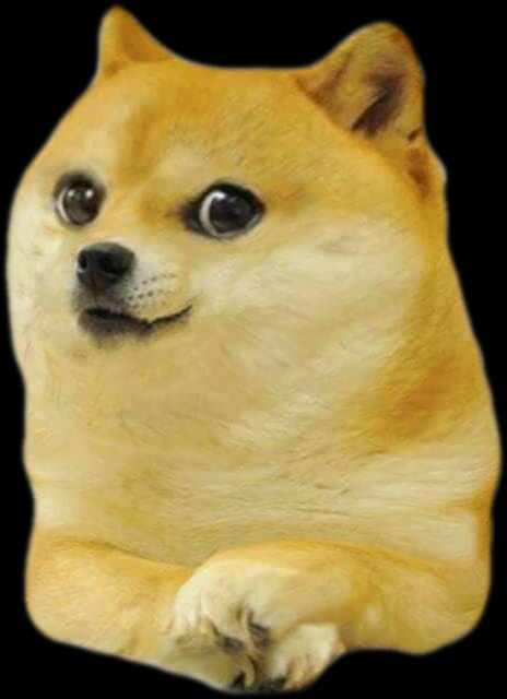 High Quality kid doge png Blank Meme Template