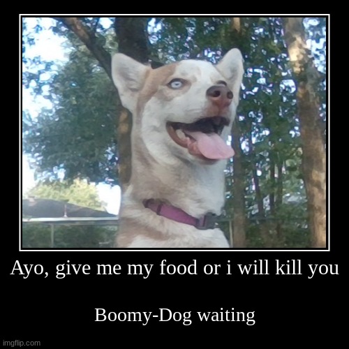 Boomy-Dog  waiting | image tagged in funny,demotivationals | made w/ Imgflip demotivational maker