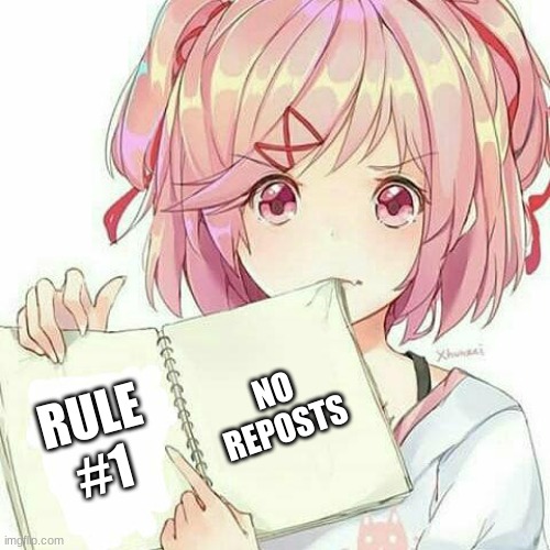 llllllllllllllll | NO REPOSTS; RULE #1 | image tagged in natsuki's book of truth | made w/ Imgflip meme maker