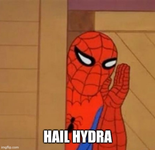 HAIL HYDRA | image tagged in spiderman says,hail hydra,marvel,memes,funny | made w/ Imgflip meme maker