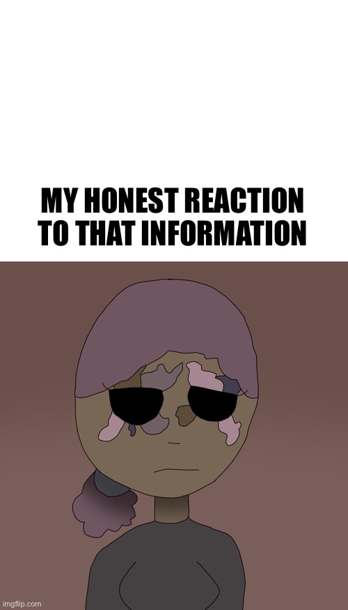 MY HONEST REACTION TO THAT INFORMATION | image tagged in blank white template | made w/ Imgflip meme maker