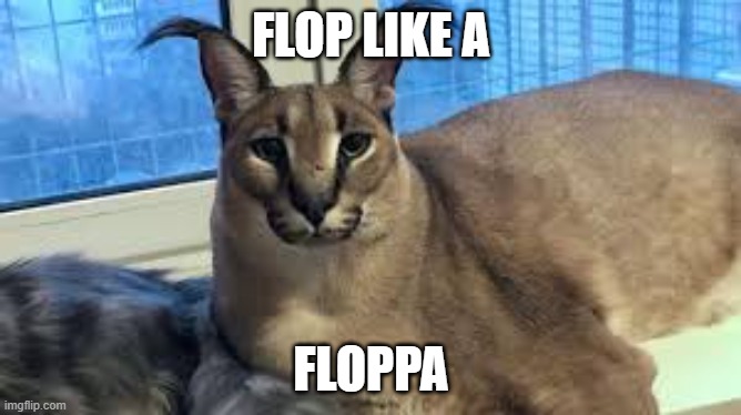 Floppa | FLOP LIKE A; FLOPPA | image tagged in floppa | made w/ Imgflip meme maker