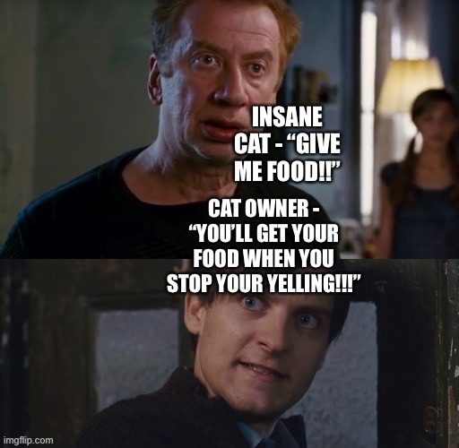 Cat Owner (Bully Maguire) gets fed up with Insane Cat (Mr. Ditkovich) constantly begging for food | INSANE CAT - “GIVE ME FOOD!!”; CAT OWNER - “YOU’LL GET YOUR FOOD WHEN YOU STOP YOUR YELLING!!!” | image tagged in spiderman 2 rent,bully maguire,insane,yelling,cats,squawk | made w/ Imgflip meme maker
