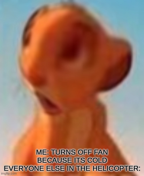 iT's ThE CiRcLe Of LiFe | ME: TURNS OFF FAN BECAUSE ITS COLD
EVERYONE ELSE IN THE HELICOPTER: | image tagged in simba face | made w/ Imgflip meme maker