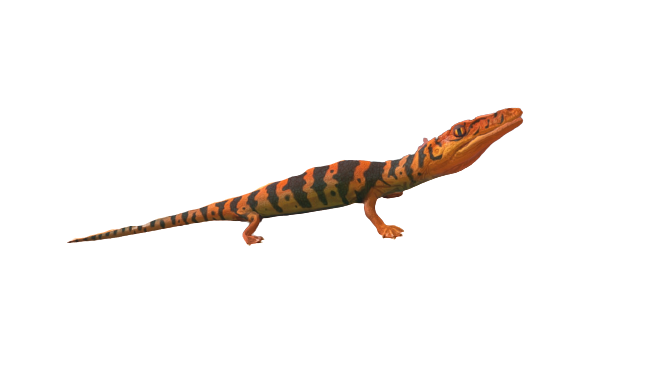 Aigialosaurus, Feed and Grow Fish Wikia