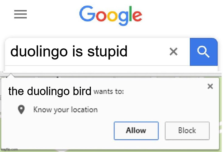 because yes | duolingo is stupid; the duolingo bird | image tagged in wants to know your location,duolingo bird,duolingo | made w/ Imgflip meme maker