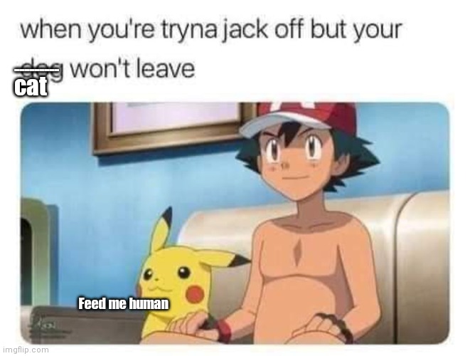 So poor I had to jerk off my dog to feed my cat | cat; ---------; Feed me human | image tagged in funny | made w/ Imgflip meme maker