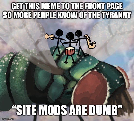 GET THIS MEME TO THE FRONT PAGE SO MORE PEOPLE KNOW OF THE TYRANNY; “SITE MODS ARE DUMB” | image tagged in on the fly | made w/ Imgflip meme maker