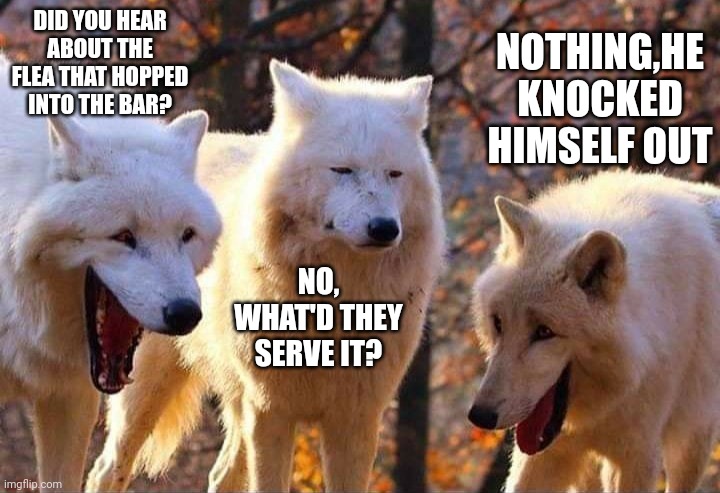 Laughing wolf | DID YOU HEAR ABOUT THE FLEA THAT HOPPED INTO THE BAR? NOTHING,HE KNOCKED HIMSELF OUT; NO, WHAT'D THEY SERVE IT? | image tagged in laughing wolf | made w/ Imgflip meme maker