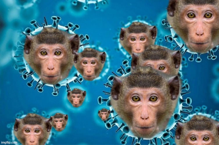 Monkeypox | image tagged in monkeypox | made w/ Imgflip meme maker