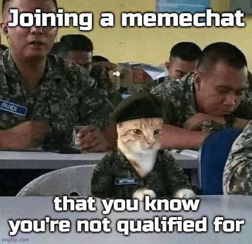 Trust me, I'm qualified | Joining a memechat; that you know you're not qualified for | image tagged in memes,military,cat | made w/ Imgflip meme maker