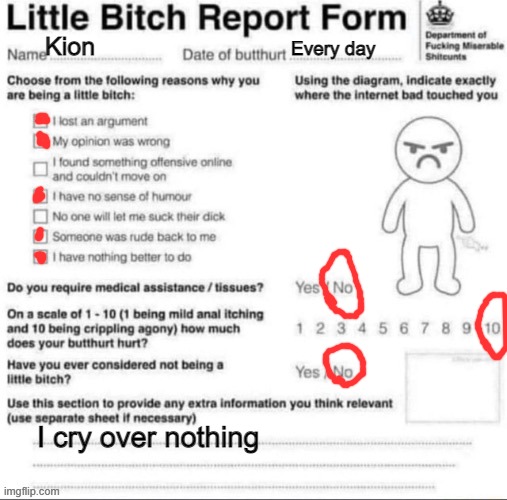 Little bitch report form | Kion Every day I cry over nothing | image tagged in little bitch report form | made w/ Imgflip meme maker