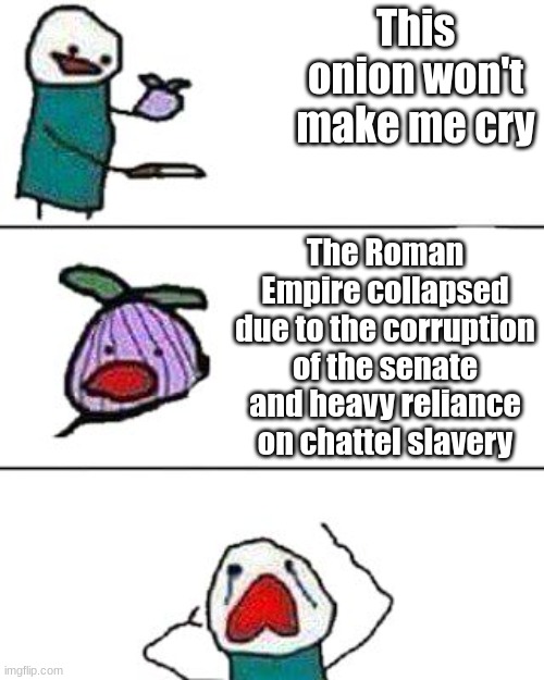 this onion won't make me cry | This onion won't make me cry; The Roman Empire collapsed due to the corruption of the senate and heavy reliance on chattel slavery | image tagged in this onion won't make me cry | made w/ Imgflip meme maker