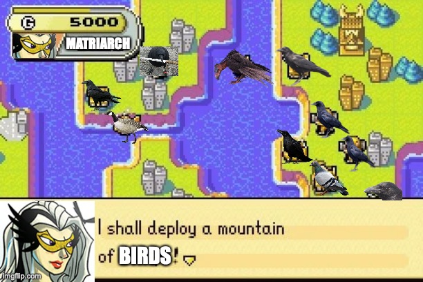 Matriarch's mountain of birds | MATRIARCH; BIRDS | image tagged in memes,funny | made w/ Imgflip meme maker