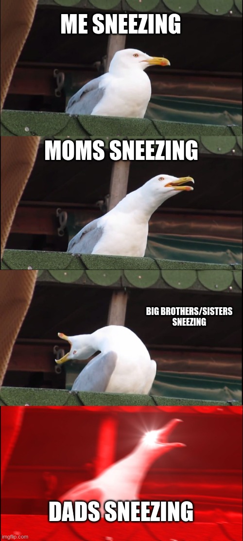 Inhaling Seagull | ME SNEEZING; MOMS SNEEZING; BIG BROTHERS/SISTERS SNEEZING; DADS SNEEZING | image tagged in memes,inhaling seagull | made w/ Imgflip meme maker