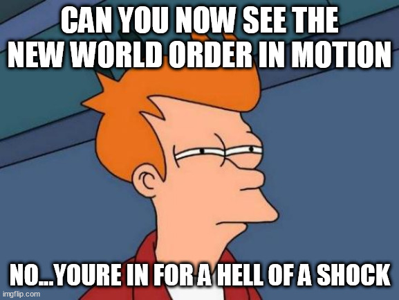 Futurama Fry Meme | CAN YOU NOW SEE THE NEW WORLD ORDER IN MOTION; NO...YOURE IN FOR A HELL OF A SHOCK | image tagged in memes,futurama fry | made w/ Imgflip meme maker