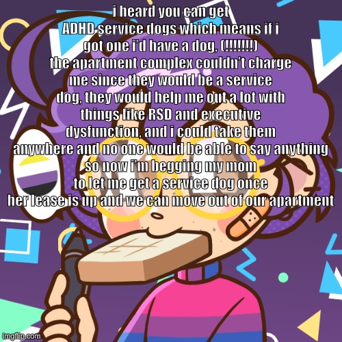 i’d probably be allowed to take them to school too | i heard you can get ADHD service dogs which means if i got one i’d have a dog, (!!!!!!!) the apartment complex couldn’t charge me since they would be a service dog, they would help me out a lot with things like RSD and executive dysfunction, and i could take them anywhere and no one would be able to say anything
so now i’m begging my mom to let me get a service dog once her lease is up and we can move out of our apartment | image tagged in cooper bread | made w/ Imgflip meme maker